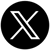 x icon v3-2